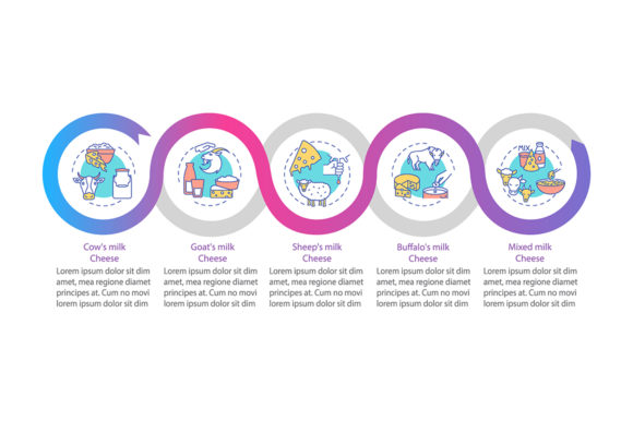 Cheese Production Vector Infographic Graphics