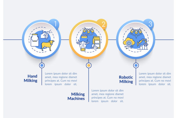 Cow Milking Vector Infographic Template