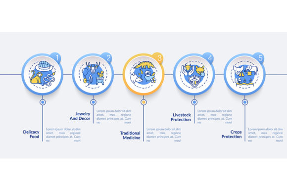 Exotic Animal Abuse Vector Infographic: A Designer’s Perspective