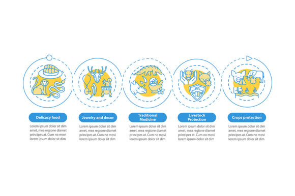 Exotic Animal Cruelty Vector Infographic: A Designer’s Take